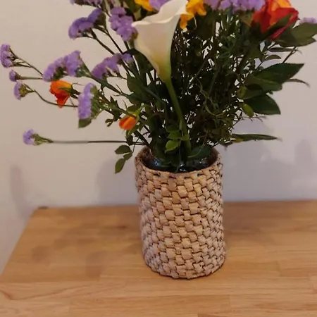 Bed & Breakfast Les Estrelles Alghero
